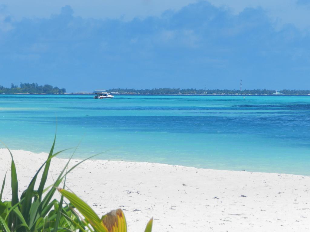 Whale Shark Inn Maamigili Island Exterior photo