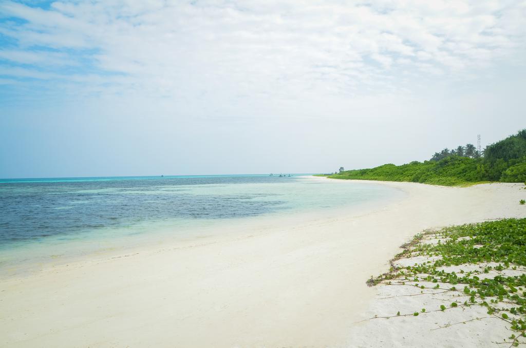 Whale Shark Inn Maamigili Island Exterior photo
