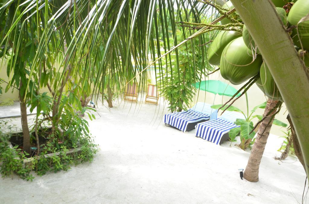 Whale Shark Inn Maamigili Island Exterior photo