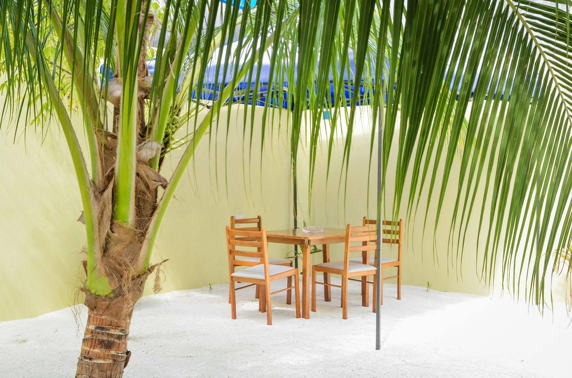 Whale Shark Inn Maamigili Island Exterior photo