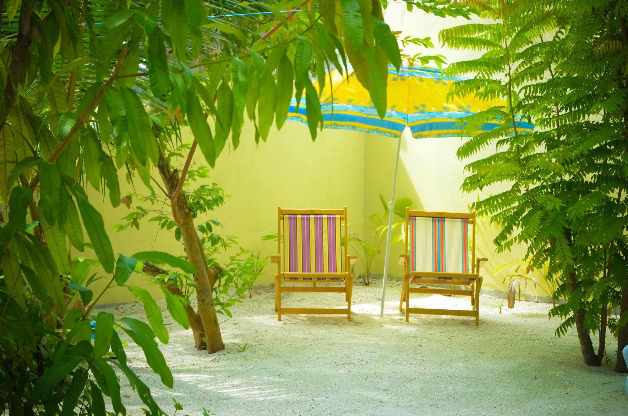Whale Shark Inn Maamigili Island Exterior photo