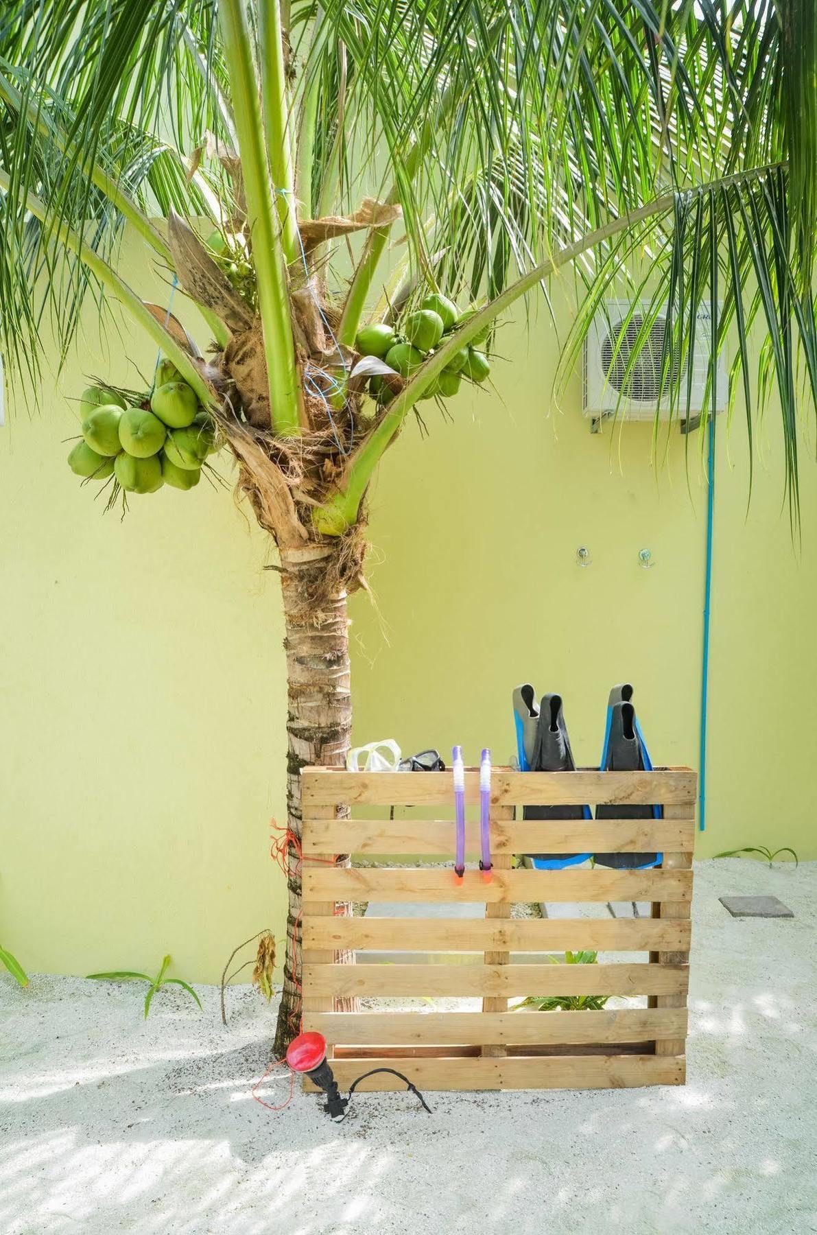Whale Shark Inn Maamigili Island Exterior photo